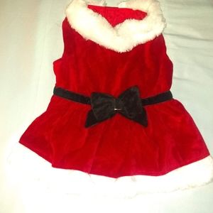 Petco Holiday Tails Mrs. Claus Santa Dress XL